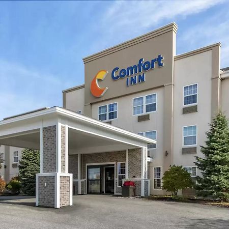 אוגוסטה Comfort Inn Civic Center מראה חיצוני תמונה