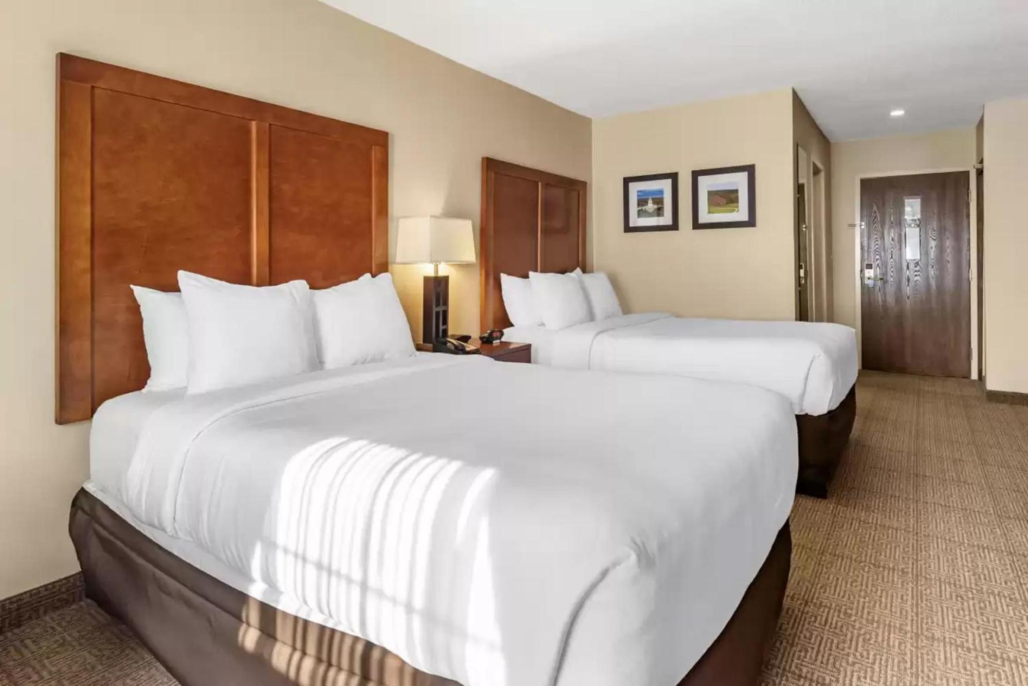 אוגוסטה Comfort Inn Civic Center מראה חיצוני תמונה